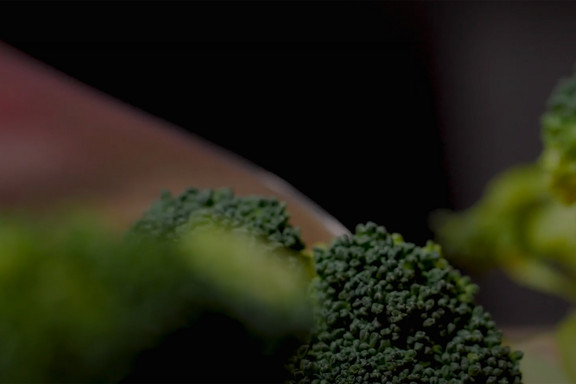 Danone - Recettes Nutricia - Hellowpro - illustration